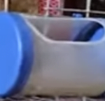 মুরগির খাবার পাত্র