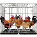 দেশি মুরগির খাঁচা