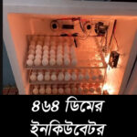 ২৬৪ সেটার, ২০০ হ্যাচার মোট ৪৬৪ ডিমের ফুল অটো ককশিট বডি ইনকিউবেটর (৩ ট্রে, হ্যাচিং ট্রে সহ)