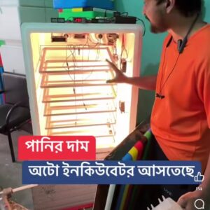 ২৬৪ সেটার, ২০০ হ্যাচার মোট ৪৬৪ ডিমের ফুল অটো ককশিট বডি ইনকিউবেটর (৩ ট্রে, হ্যাচিং ট্রে সহ)