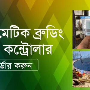 অটো হিট কন্ট্রোলার ব্রুডার