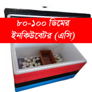 ৮০-১০০ ডিমের ইনকিউবেটর - এসি (সেমি অটো)