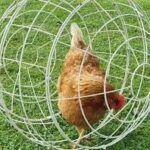 মুরগি মুভিং খাঁচা ৪০ সেন্টিমিটার