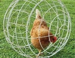 Cage