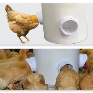 মুরগীর ফিডার - Chicken Feeder Poultry Feeding Supplies