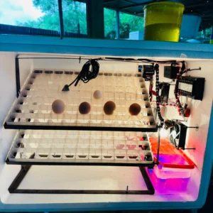 ২৭৬ ডিমের ফুল অটো ইনকিউবেটর (২ ট্রে), Xm18 ও 3001DC কন্ট্রোলার, হিউমিডিয়ার ও পানির লাইন সহ