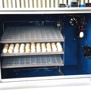 ৪৪০ ডিমের জাপানি শিট মিনি সুপার ইনকিউবেটর STC1000 এসি ও ৩০০১ ডিসি কন্ট্রোলার