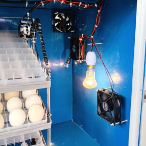 ৪৪০ ডিমের জাপানি শিট মিনি সুপার ইনকিউবেটর STC1000 এসি ও ৩০০১ ডিসি কন্ট্রোলার