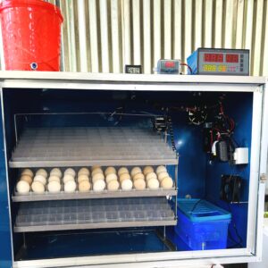 ৪৪০ ডিমের জাপানি শিট মিনি সুপার ইনকিউবেটর XM-18(Single Circuit) এসি ও ৩০০১ ডিসি কন্ট্রোলার