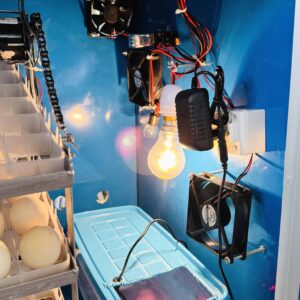 ৪৪০ ডিমের জাপানি শিট মিনি সুপার ইনকিউবেটর XM-18(Single Circuit) এসি ও ৩০০১ ডিসি কন্ট্রোলার