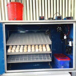 ৪৪০ ডিমের জাপানি শিট মিনি সুপার ইনকিউবেটর 3005, ‍STC1000 এসি ও ৩০০১ ডিসি কন্ট্রোলার