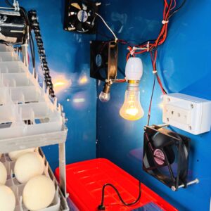 ৪৪০ ডিমের জাপানি শিট মিনি সুপার ইনকিউবেটর 3005, ‍STC1000 এসি ও ৩০০১ ডিসি কন্ট্রোলার